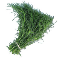Erbette Negus 