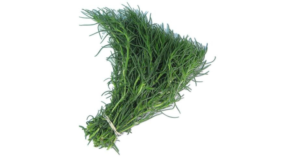 Erbette Negus (Lischi) 