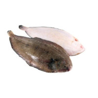 Sogliola Eviscerata Spellata