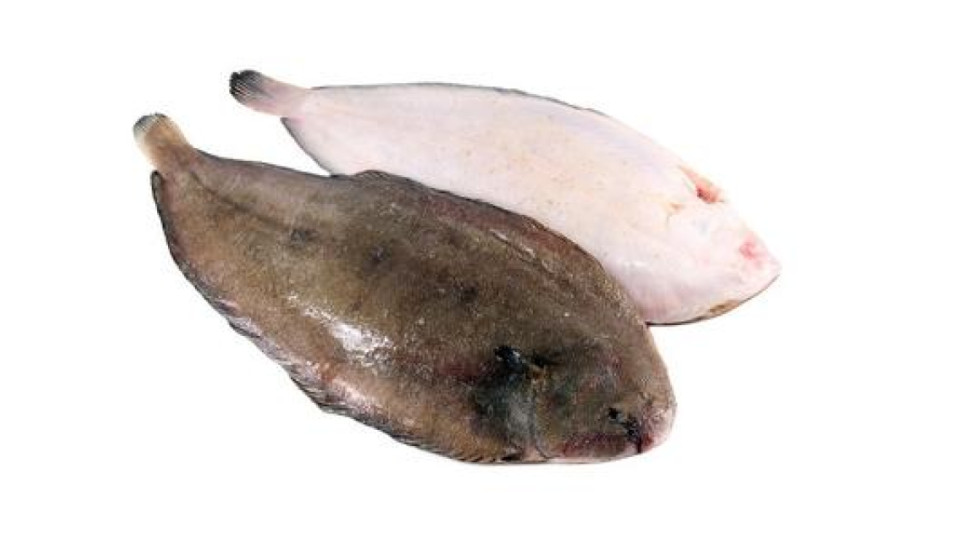 Sogliola Eviscerata Spellata