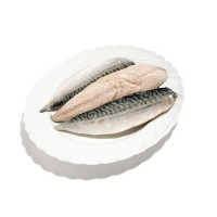 Filetto di Sgombro