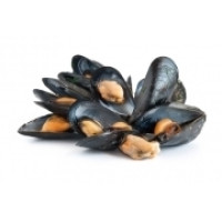 Cozze Allevate