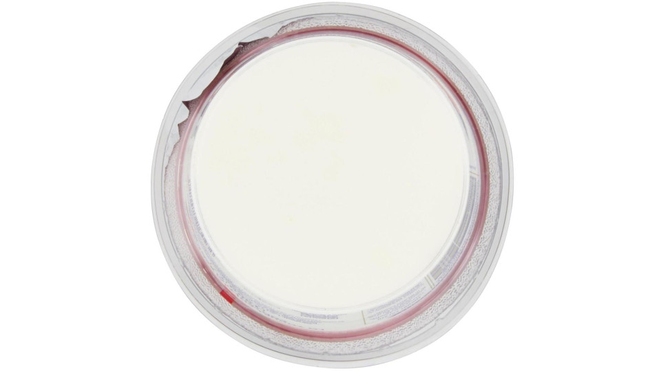 Caseificio Val d'Aveto lo Yogurt Colato con Frutti di Bosco