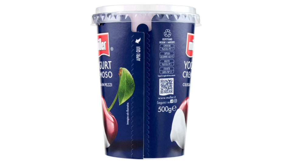 müller Yogurt Cremoso Cocco in Pezzi
