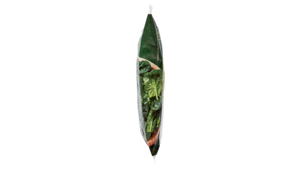 SPINACI IN FOGLIA