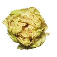 Radicchio Variegato Castelfranco Igp