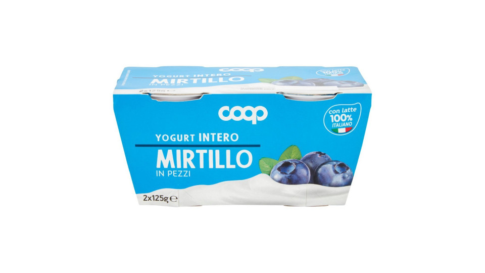 Yogurt Intero Con Mirtilli In Pezzi