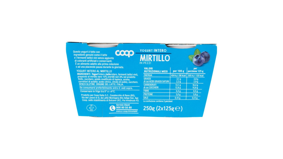 Yogurt Intero Con Mirtilli In Pezzi