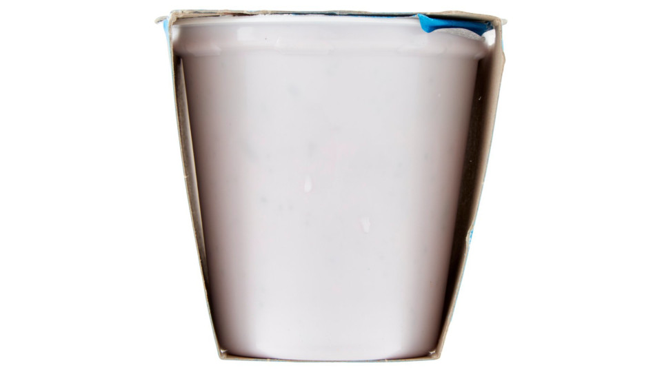 Yogurt Intero Con Mirtilli In Pezzi