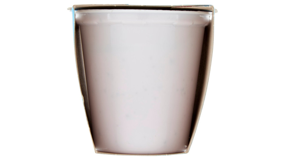 Yogurt Intero Con Mirtilli In Pezzi