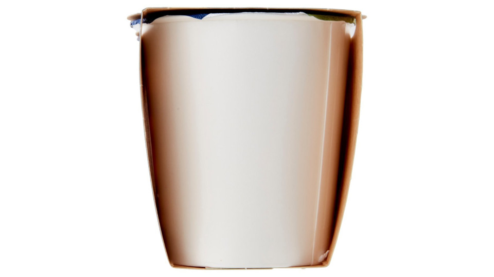 Yogurt Intero Alla Vaniglia Biologico