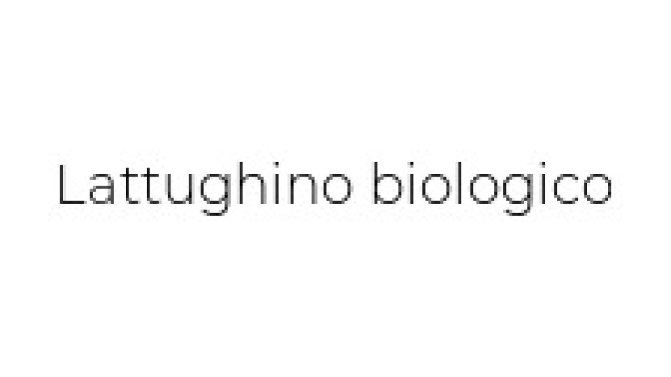 Insalatina Biologica