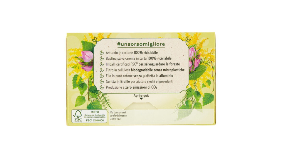 Le Tisane Drenante con Equiseto e Betulla