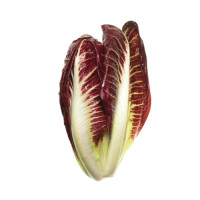 Radicchio Rosso Precoce Viviverde Biocoop 2/3pz G500ca																