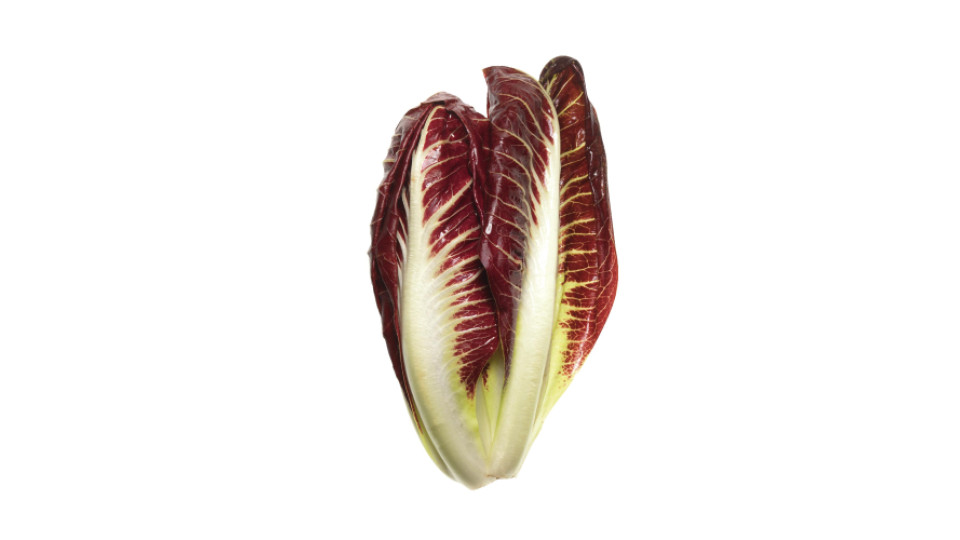 Radicchio Rosso Precoce Viviverde Biocoop 2/3pz G500ca																