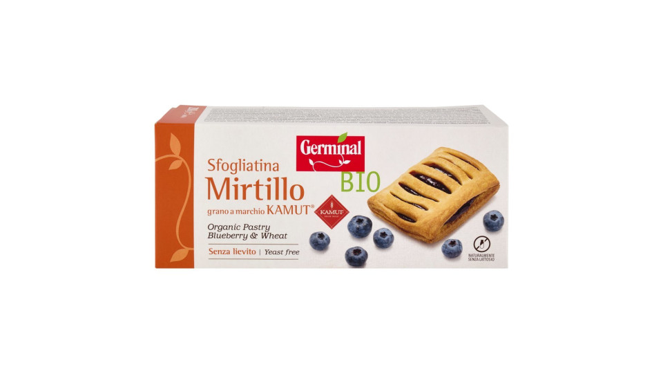 Sfogliatina Mirtillo  Bio 4 x 50 g