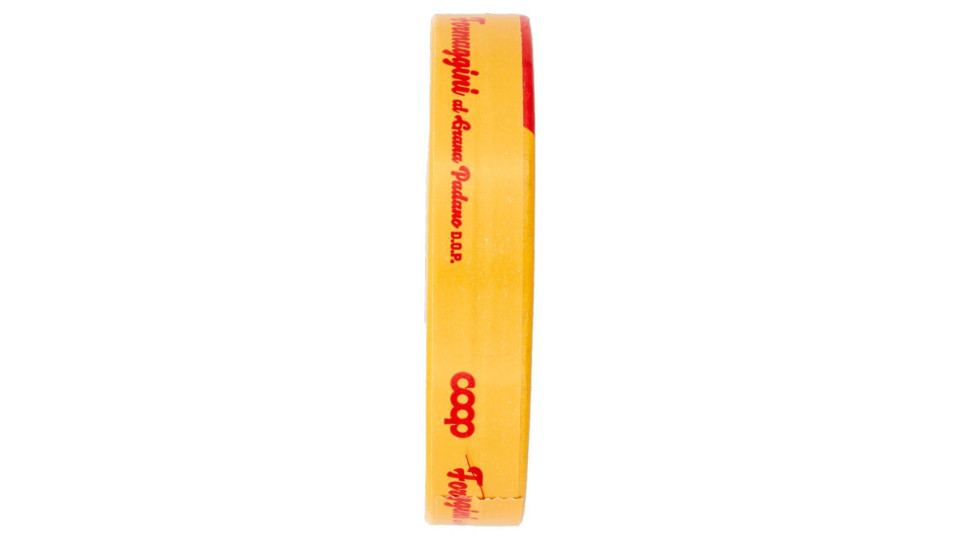 Formaggini Formaggio Fuso a Porzioni 8 x 17,5 g
