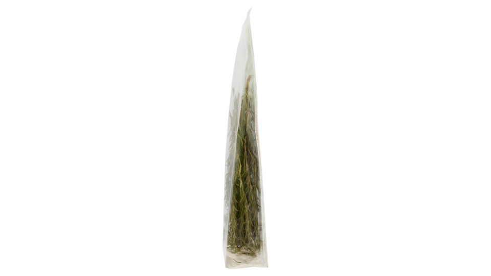 Origano Biologico