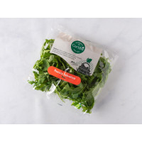 Rucola selvatica BIO, Cortilia