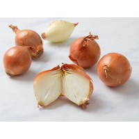 Cipolle dorate BIO