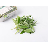 Salvia fresca BIO, Cortilia