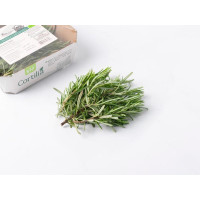 Rosmarino BIO, Cortilia
