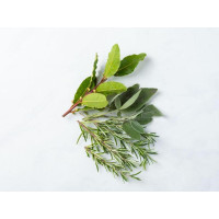 Rosmarino Salvia Alloro BIO