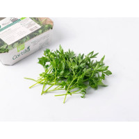 Prezzemolo BIO, Cortilia