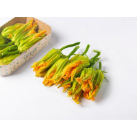 Fiori di zucchina