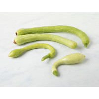 Zucchine trombetta