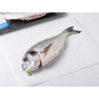 Orata italiana allevata in mare aperto, Cortilia