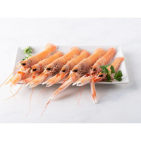 Scampi