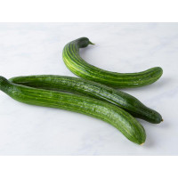 Cetrioli lunghi