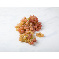 Uva fragola senza semi