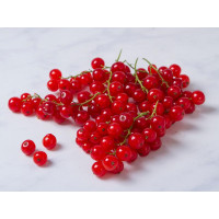 Ribes rosso
