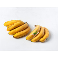 Banane Plátano de Canarias IGP BIO