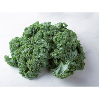 Cavolo kale