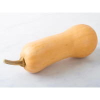 Zucca butternut BIO