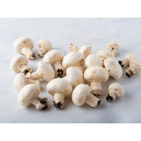 Funghi champignon