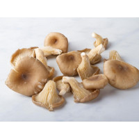 Funghi orecchioni BIO del Südtirol