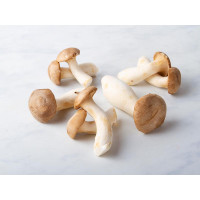 Funghi cardoncelli BIO del Südtirol