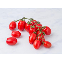 Pomodoro piccadilly nickel free