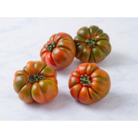 Pomodoro costoluto nickel free
