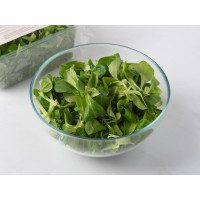 Valeriana BIO