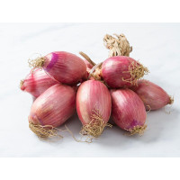Cipolle ramate BIO