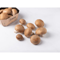 Funghi champignon crema BIO