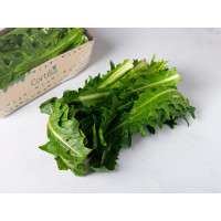Catalogna tagliata