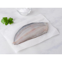 Filetto di rombo chiodato fresco