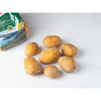 Patate della Sila IGP