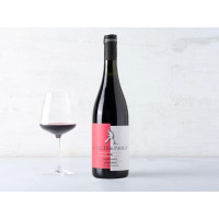 Bonarda frizzante Piemonte DOC